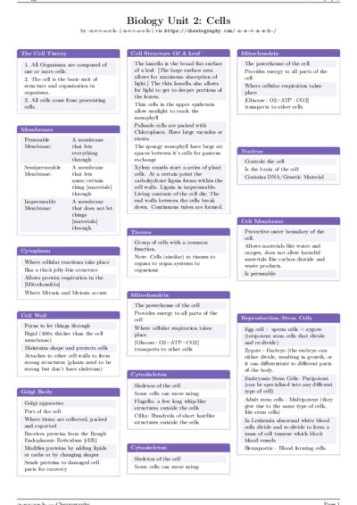 LaTeX (Compiled PDF)