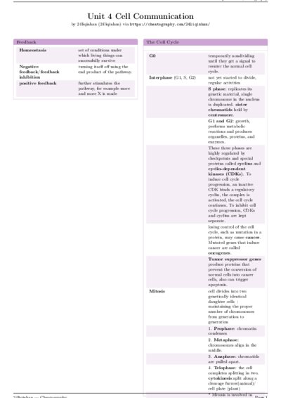 LaTeX (Compiled PDF)