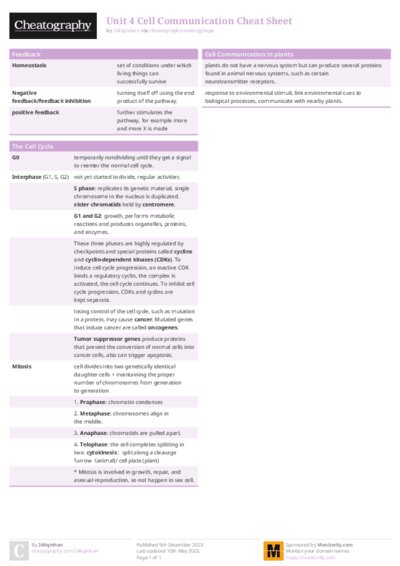 PDF (Colour) — Style 1