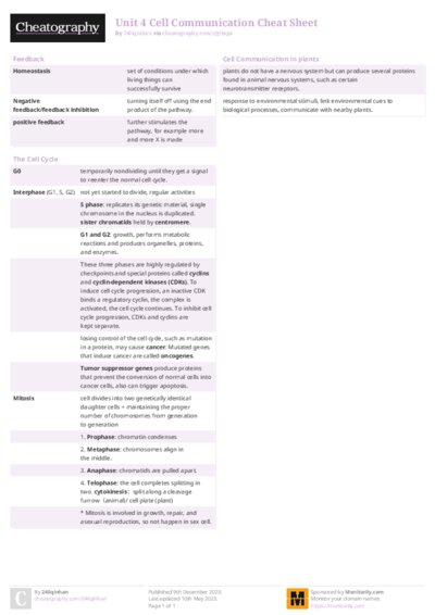 PDF (Colour) — Style 2