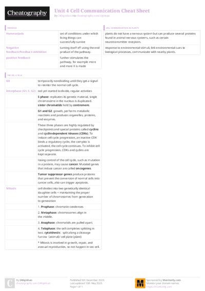 PDF (Colour) — Style 3
