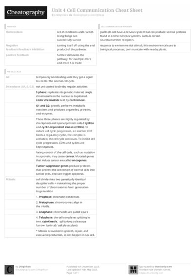 PDF (Black & white) — Style 3