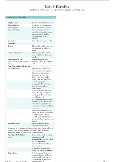 LaTeX (Compiled PDF)
