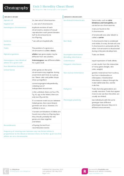 PDF (Colour) — Style 3