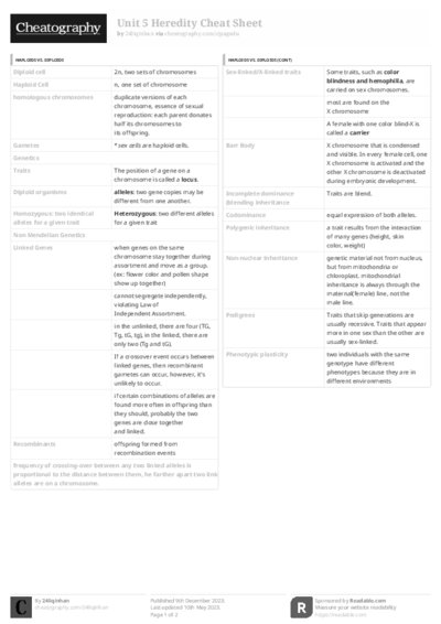 PDF (Black & white) — Style 3