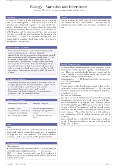 LaTeX (Compiled PDF)
