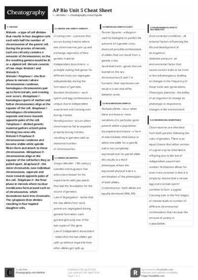 PDF (Black & white) — Style 3