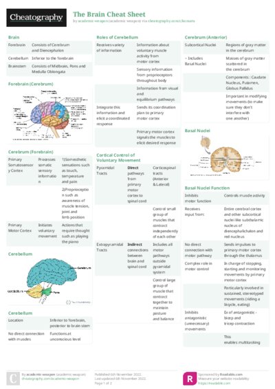 The Brain Cheat Sheet