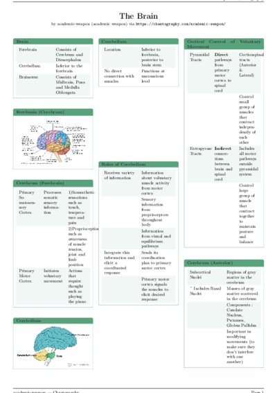 LaTeX (Compiled PDF)