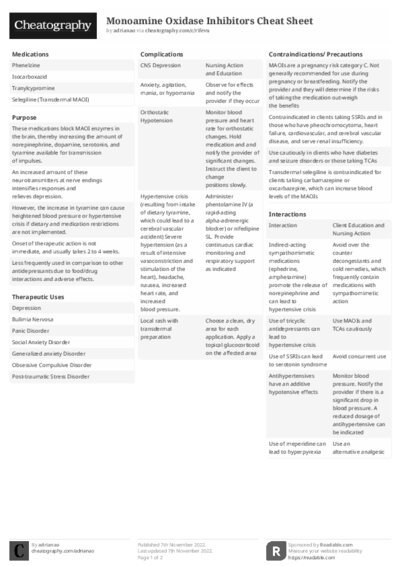 PDF (Black & white) — Style 2