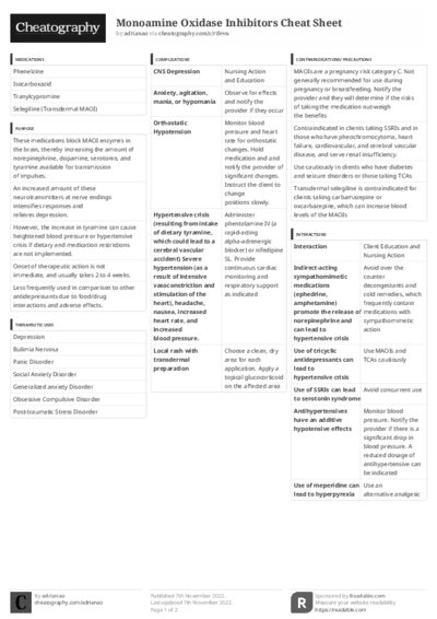 PDF (Black & white) — Style 3