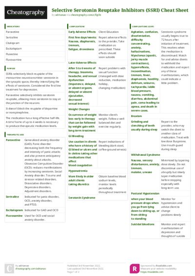 PDF (Colour) — Style 3