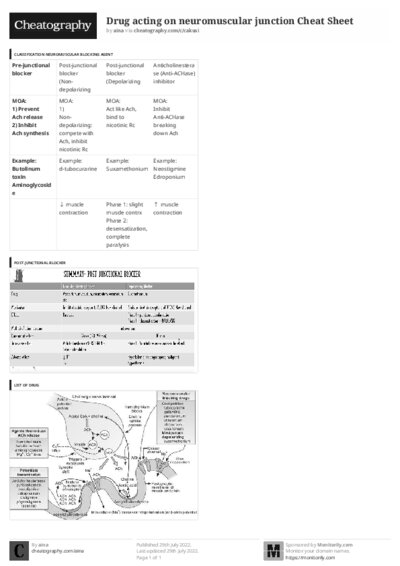 PDF (Black & white) — Style 3