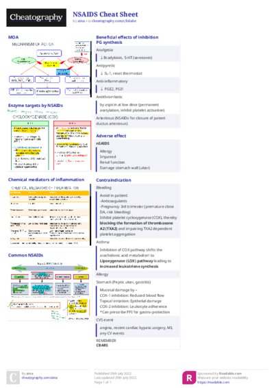 PDF (Colour) — Style 2