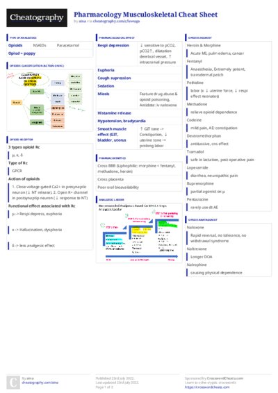 PDF (Colour) — Style 3