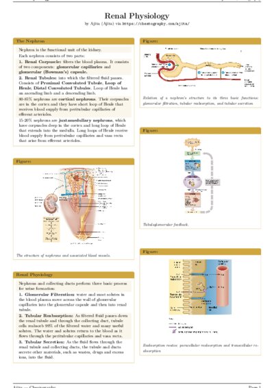 LaTeX (Compiled PDF)