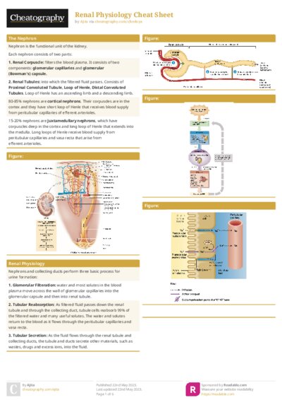 PDF (Colour) — Style 1