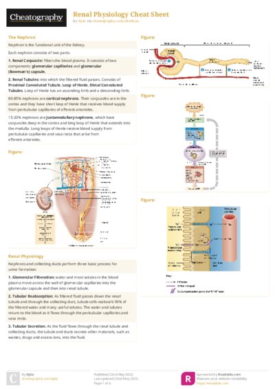 PDF (Colour) — Style 2
