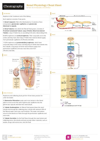 PDF (Colour) — Style 3