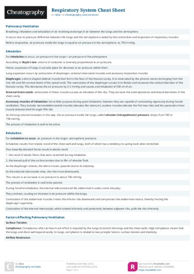 Respiratory System Cheat Sheet