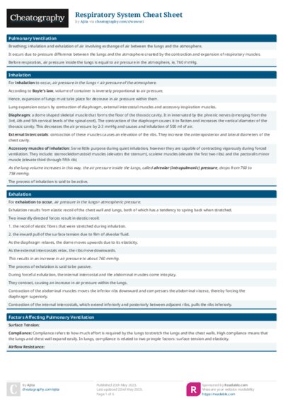 PDF (Colour) — Style 1