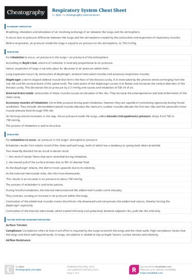 PDF (Colour) — Style 3