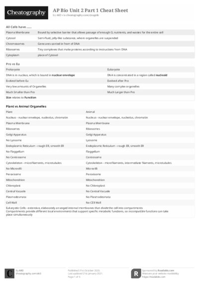 PDF (Black & white) — Style 2