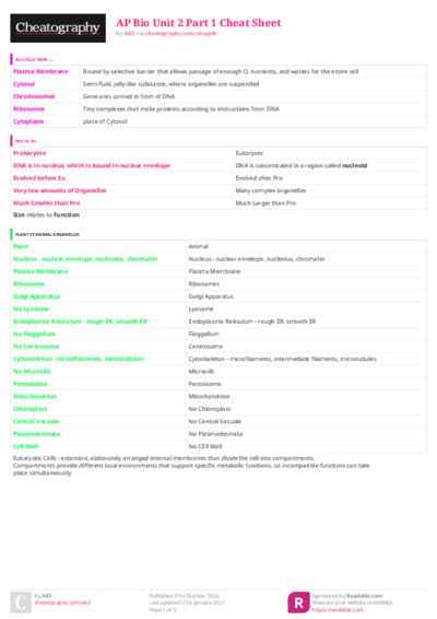 PDF (Colour) — Style 3