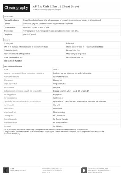 PDF (Black & white) — Style 3