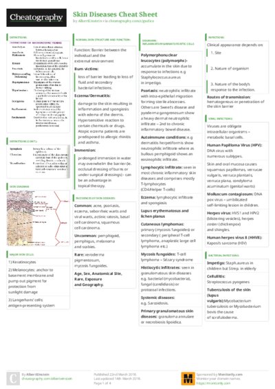 PDF (Colour) — Style 3