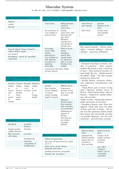 LaTeX (Compiled PDF)