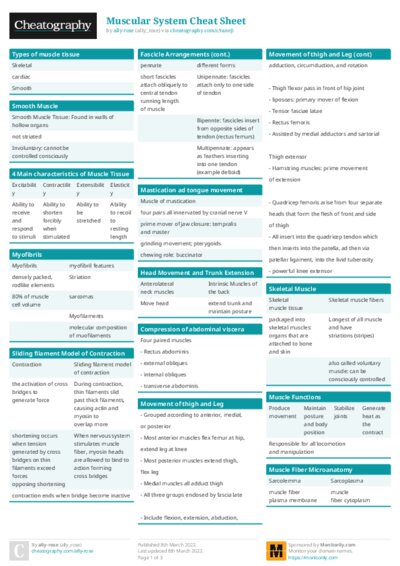 PDF (Colour) — Style 1