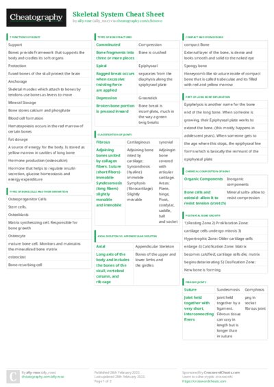 PDF (Colour) — Style 3