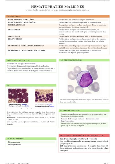 LaTeX (Compiled PDF)