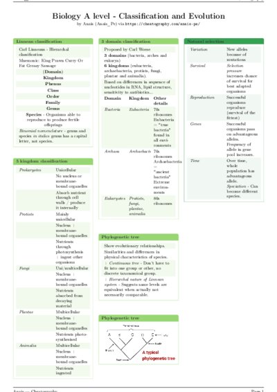 LaTeX (Compiled PDF)
