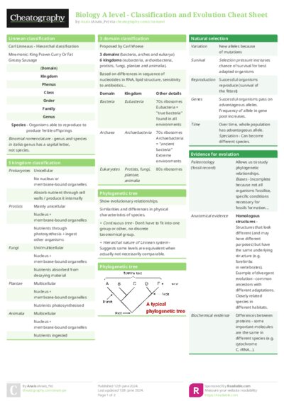 PDF (Colour) — Style 1