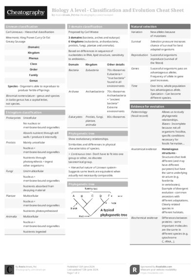 PDF (Black & white) — Style 1