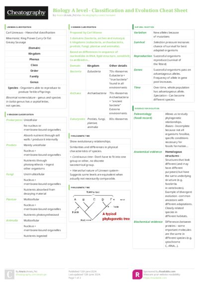 PDF (Colour) — Style 3