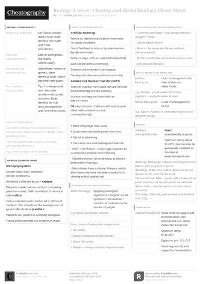 PDF (Black & white) — Style 3