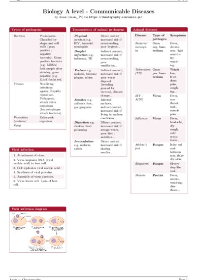 LaTeX (Compiled PDF)