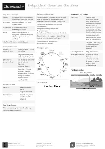 PDF (Black & white) — Style 2