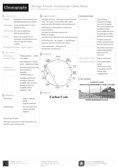 PDF (Black & white) — Style 3