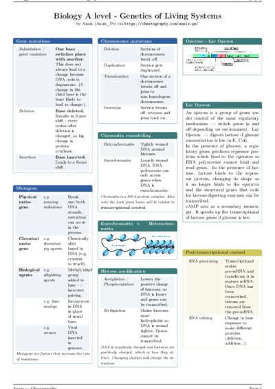 LaTeX (Compiled PDF)