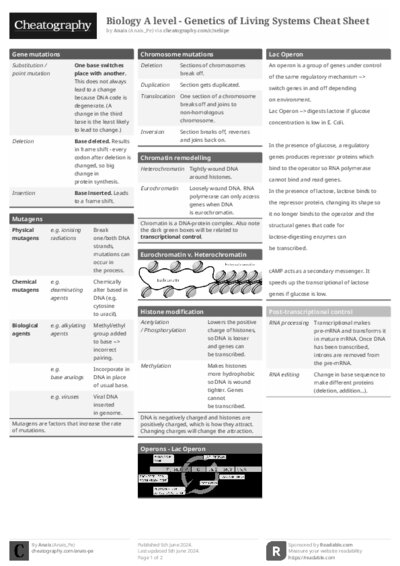 PDF (Black & white) — Style 1