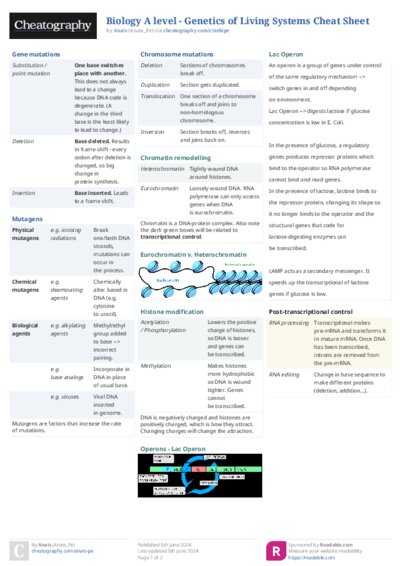 PDF (Colour) — Style 2