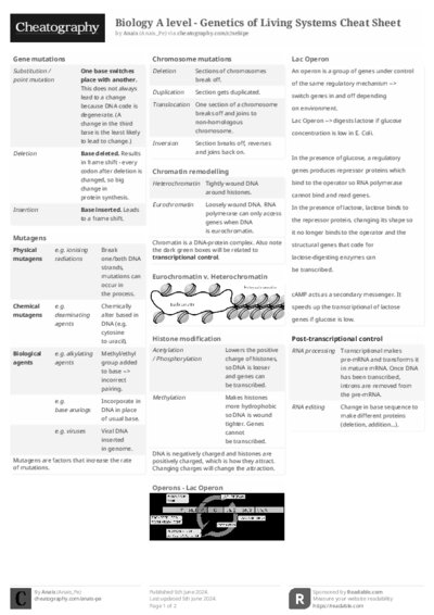 PDF (Black & white) — Style 2