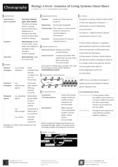 PDF (Black & white) — Style 3