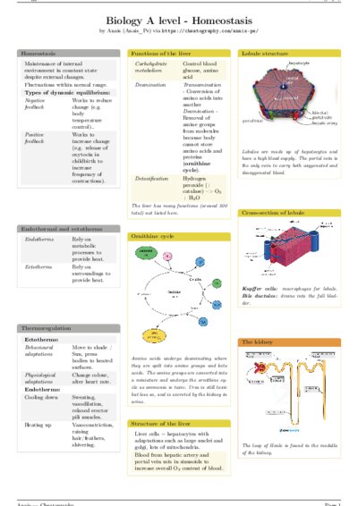 LaTeX (Compiled PDF)