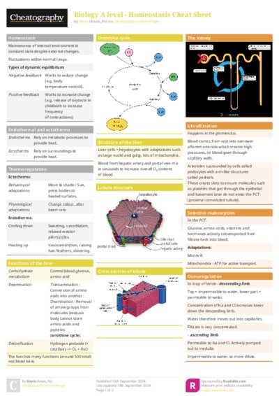 PDF (Colour) — Style 1