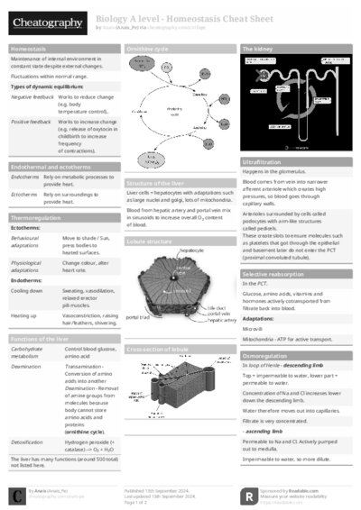 PDF (Black & white) — Style 1